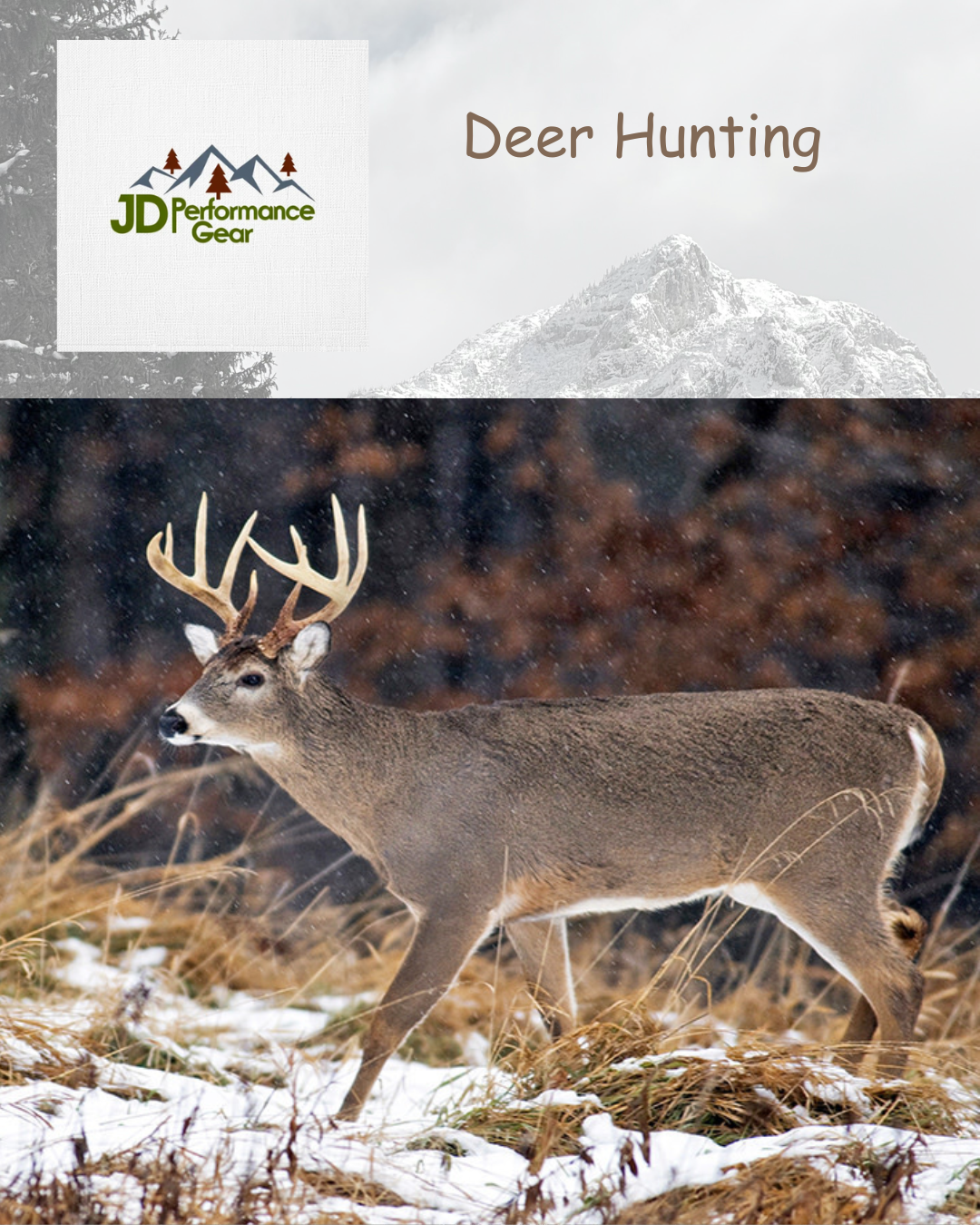 Deer Hunting During the Holidays: Tradition, Patience, and the Winter Woods